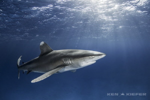 Oceanic in the middle of the setting sun. by Ken Kiefer 